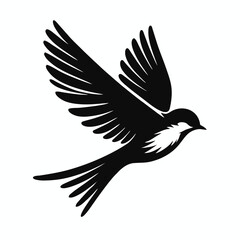 Obraz premium A flying Bird.