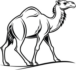 Parent and Baby Camel Outline Drawing for Coloring or Artwork

