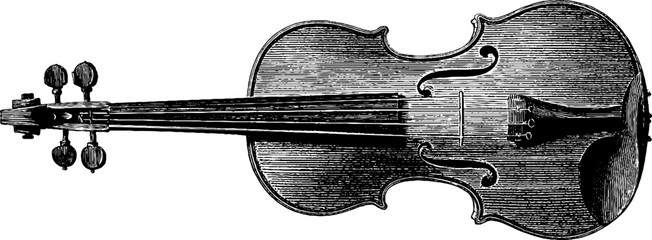 Detailed engraving of a violin with black bold lines for music design and art projects