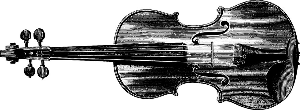 Detailed engraving of a violin with black bold lines for music design and art projects