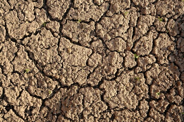 Texture of dry cracked land. Natural background. Arid climate illustration.