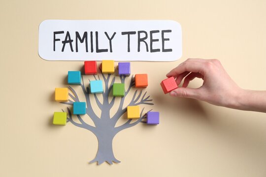 Woman making family tree with colorful cubes on beige background, top view
