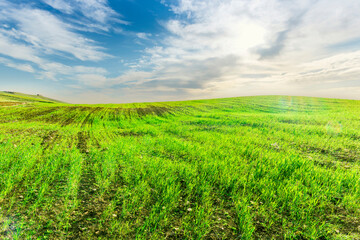 green spring hills with young grass and amazing growing fields and hills with beautiful bright cloudy sunset on background of rural landscape