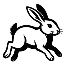 Obraz premium Detailed Rabbit Animal Leaping Illustration - Black and White for Nature, Wildlife, Speed, or Graphic Themes