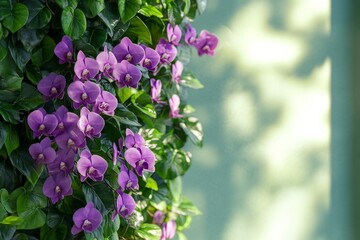 Plakat Lush purple orchids cascading down a wall.