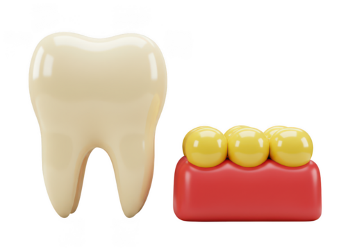 Dental health tooth enamel gums and bridge illustration art on transparent background