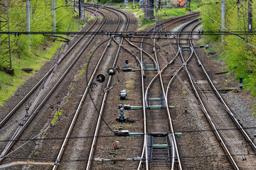 Multiple Railway Tracks Leading to Urban Bridge Surrounded by Green Spring Trees, Transportation...