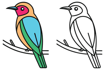 Colorful Bird Cartoon Drawing and Outline Version Isolated