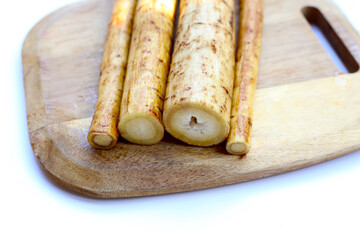 Fresh burdock roots or gobo roots