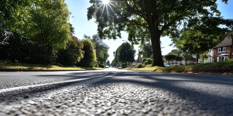 Sunny residential street, looking down at asphalt, houses, and trees.  Possible use Stock photo for real estate, travel, or community