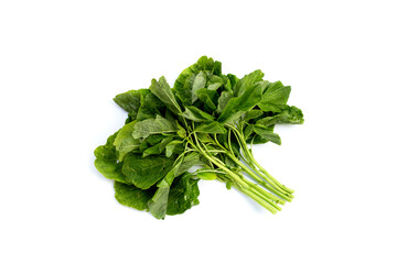 Green spinach on white background.