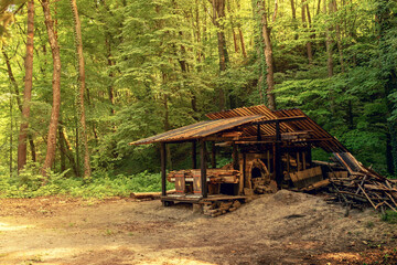 Ancient historical wooden structures are surrounded by trees