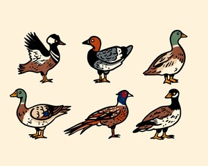 Hand Drawing of Ducks and Geese