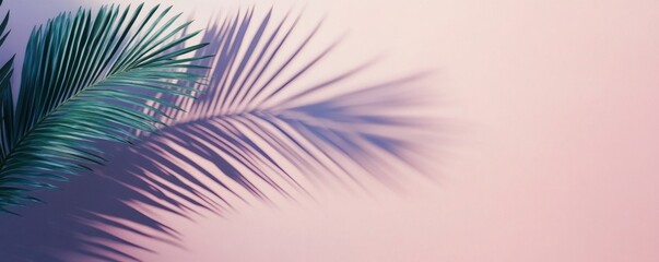 Delicate palm leaf shadows on a pastel background.