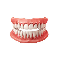 Obraz premium 3D Render of a Healthy Human Dentition with Gums