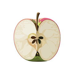 Vector illustration of fresh apples V12