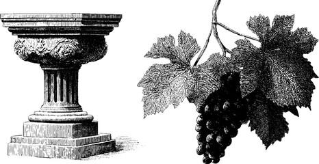 Fototapeta premium Ancient roman villa elements featuring engraved corinthian column and grapevine illustration