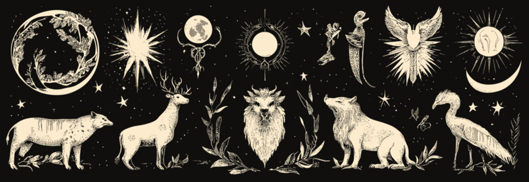 Set of mystical animals and magical elements for witchcraft- designs- 