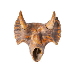 Triceratops Skull Fossil - Ancient Prehistoric Reptile Remains