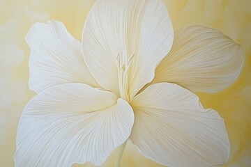 Fototapeta premium Close-up view of a delicate, creamy white flower painting.