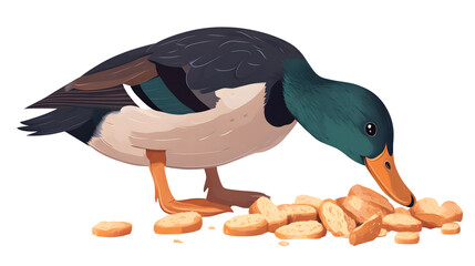 A duck feeding on bread slices showcasing wildlife and nature interaction
