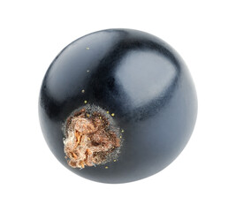 One fresh black currants berry cut out