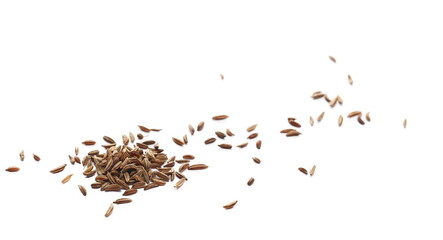 Cumin seeds pile, macro caraway grains isolated on white background, side view