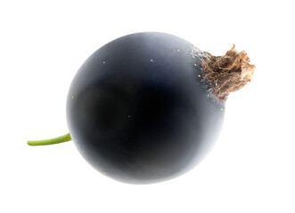 One berry of black currants cutout