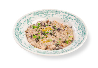 Creamy Mushroom Risotto with Herbs
