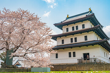 北海道　松前公園の桜