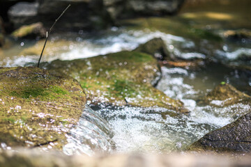 Water running through stream in nature