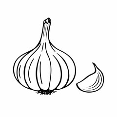 garlic isolated on white