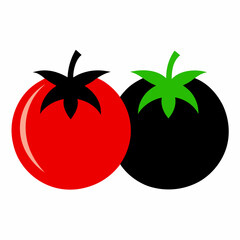 tomato on a white background