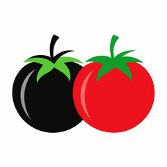 tomato vector illustration