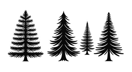 Fototapeta premium Monochrome Conifer Tree Silhouettes on White Background