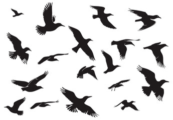 Silhouetted birds soar across the sky, wings spread in graceful flight, creating a sense of freedom.