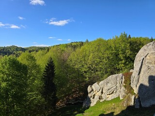 Tustan Rocks in Spring, Carpathian Mountains, Ukraine. Scenic view of Tustan rock formations surrounded by spring forest under a blue sky. Historical and natural landmark in the Carpathian Mountains
