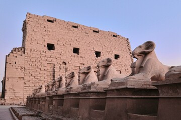 Luxor, Egypt - December 26 2023: Karnak Temple sphinxes alley, The ruins of the temple