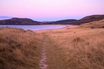Sandy Path Through Dry Grasses Leading to Secluded Beach at Dusk