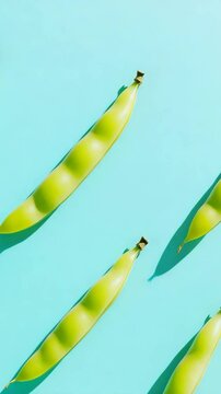 Minimalist composition of green peapods on vibrant turquoise background