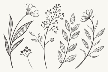 Set of different flowers and brunch from flat editable stroke. Luxury line floral collection for wedding invitation art, design template of save the date card. Botanical vector illustration.