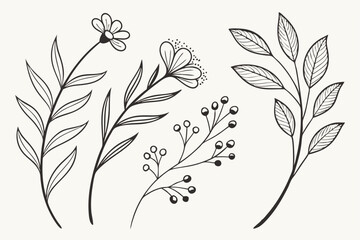 Set of different flowers and brunch from flat editable stroke. Luxury line floral collection for wedding invitation art, design template of save the date card. Botanical vector illustration.