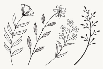 Set of different flowers and brunch from flat editable stroke. Luxury line floral collection for wedding invitation art, design template of save the date card. Botanical vector illustration.