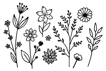 Set of different flowers and brunch from flat editable stroke. Luxury line floral collection for wedding invitation art, design template of save the date card. Botanical vector illustration.