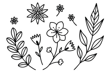 Set of different flowers and brunch from flat editable stroke. Luxury line floral collection for wedding invitation art, design template of save the date card. Botanical vector illustration.