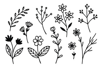 Set of different flowers and brunch from flat editable stroke. Luxury line floral collection for wedding invitation art, design template of save the date card. Botanical vector illustration.