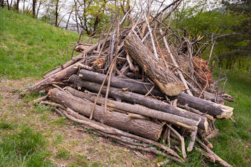 Pile of assorted logs and branches arranged haphazardly on grassy hillside, showcasing natural...