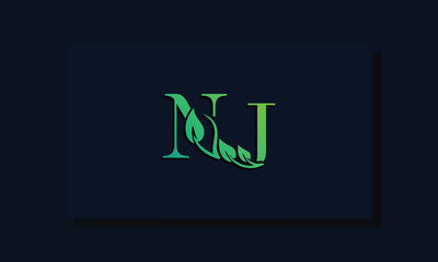Minimal leaf style Initial NJ logo