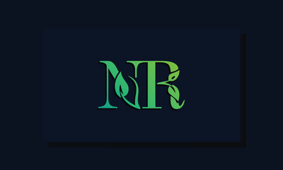 Minimal leaf style Initial NR logo