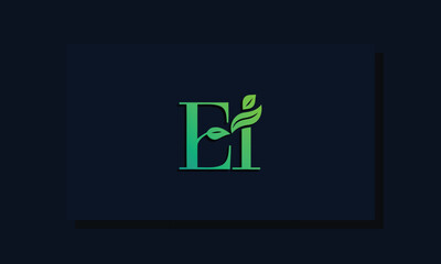 Minimal leaf style Initial EI logo.